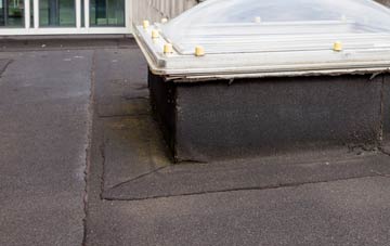 disadvantages of West Blackdown flat roofs