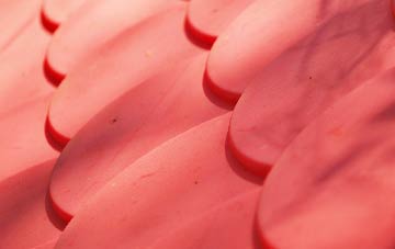 West Blackdown plastic roof costs